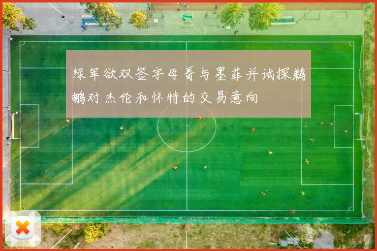 绿军欲双签字母哥与墨菲并试探鹈鹕对杰伦和怀特的交易意向